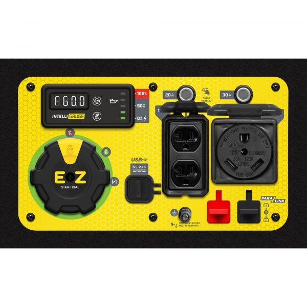 Champion 100231 Generator Portable Dual Fuel 5500W - Image 2