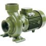 SAER-USA 6BP10N/160 Threaded Centrifugal Pump