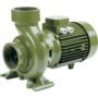 SAER-USA 6BP12/160 Threaded Centrifugal Pump
