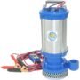 IPT 5891-IPT-DC 12 Volt Submersible