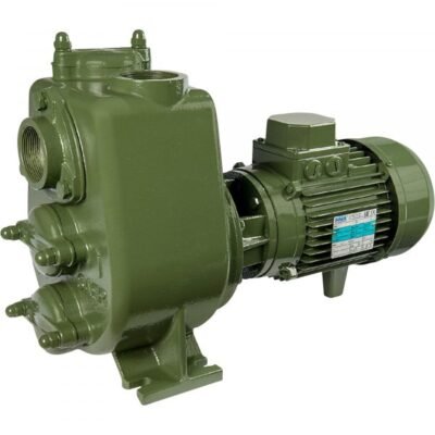 SAER-USA AP/98 A Centrifugal Water Pump (10560 GPH, 3 HP)