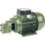 Saer-Usa Cfp Gear Pump (156