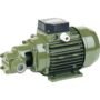 Saer-Usa Cf Gear Pump (318