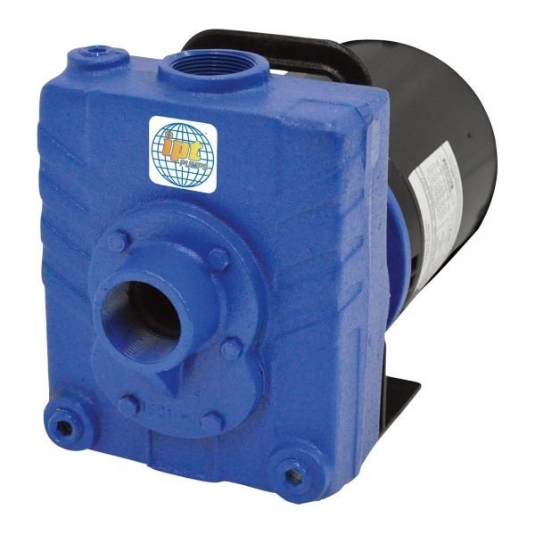 IPT 2828-IPT-95 Cast Iron Self-Priming Centrifugal Pump (7800 GPH, 2 HP, 1.5in)