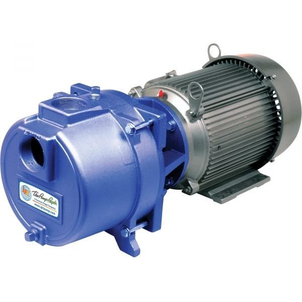 IPT 3656-IPT-95 Cast Iron Sprinkler Booster Water Pump (9480 GPH, 7.5 HP, 2in)