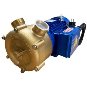 Speroni PM50-BR EL.SPER-60Hz-1PH-NPT Transfer Water Pump (3600 GPH, 2.5 HP, 2in Port)