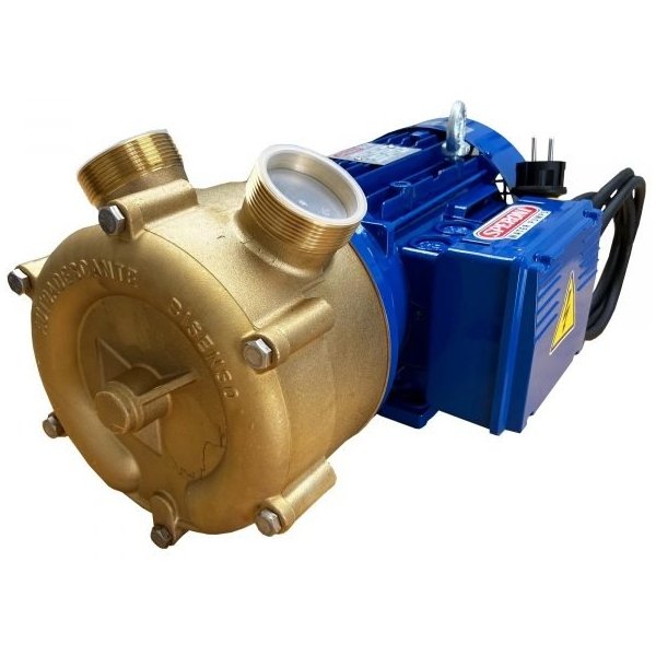 Speroni PM50-BR EL.SPER-60Hz-1PH-NPT Transfer Water Pump (3600 GPH, 2.5 HP, 2in Port)