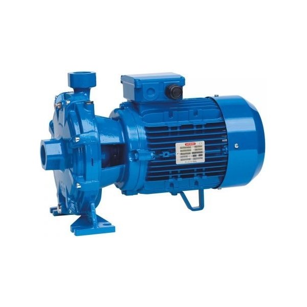 Speroni 2 CM 25/160 C Centrifugal Pump (2526 GPH, 1.5 HP, 1in Port)