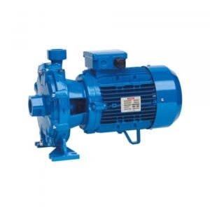 Speroni 2 CM 25/160 B Centrifugal Pump (2526 GPH, 2 HP, 1in Port)
