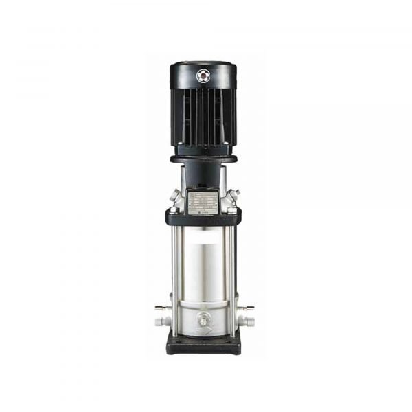 Gol SBI 3-10 KW1.5 Vertical Multistage Pump SS304 (1410 GPH, 2 HP, 1PH) 1 Gol SBI 3-10 KW1.5 Vertical Multistage Pump SS304 (1410 GPH, 2 HP, 1PH)