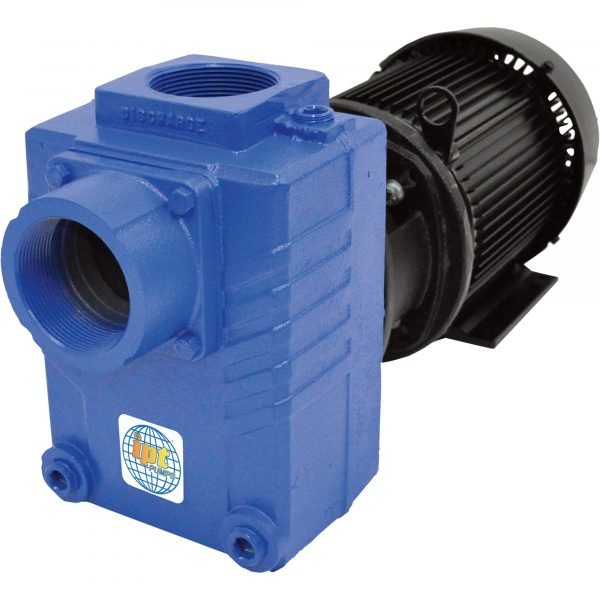 IPT 2878-IPT-95 Cast Iron Self-Priming Centrifugal Pump (18000 GPH, 5 HP, 3in) 1 IPT 2878-IPT-95 Cast Iron Self-Priming Centrifugal Pump (18000 GPH, 5 HP, 3in)