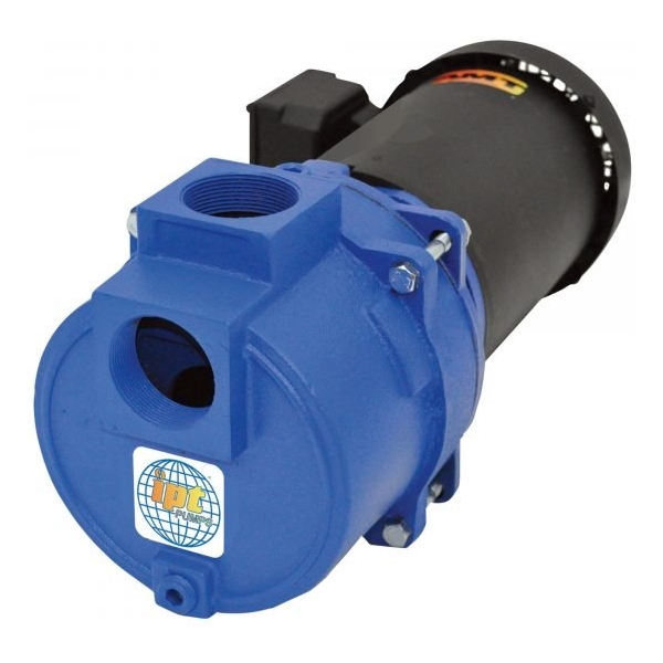 IPT 316AIPT95 Cast Iron Self-Priming Centrifugal Sewage/Trash Pump (2in Ports)