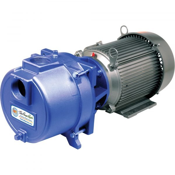 IPT 3656-IPT-95 Cast Iron Sprinkler Booster Water Pump (9480 GPH, 7.5 HP, 2in) 1 IPT 3656-IPT-95 Cast Iron Sprinkler Booster Water Pump (9480 GPH, 7.5 HP, 2in)