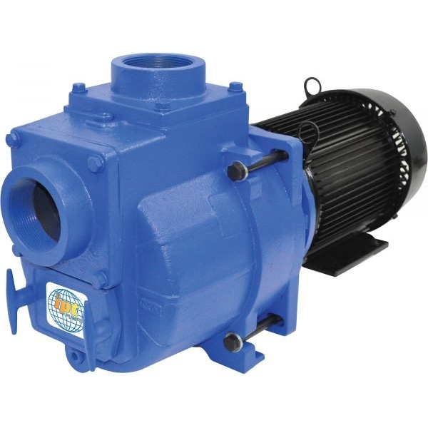 IPT 394G-IPT-95 Cast Iron Self-Priming Centrifugal Sewage/Trash Pump (3in Ports)