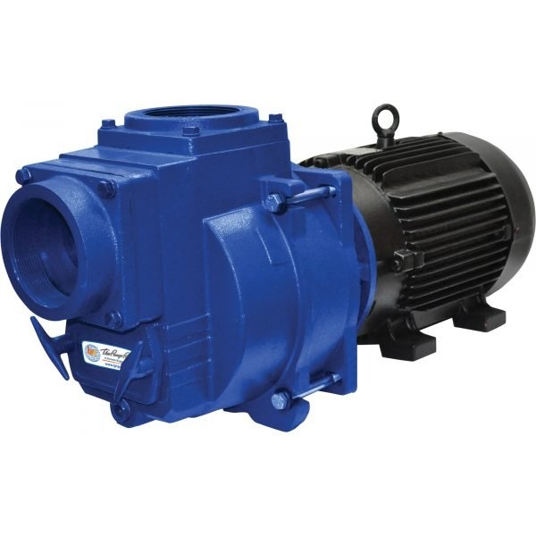 IPT 399C-IPT-95 Cast Iron Self-Priming Centrifugal Sewage/Trash Pump (4in Ports)